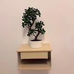 公寓 Hils Pallady 9 布加勒斯特