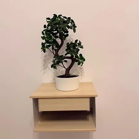 Apartament Hils Pallady 9 Bucureşti