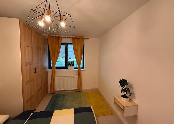 Hils Pallady 9 Bucarest