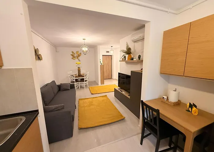 Appartement Hils Pallady 9