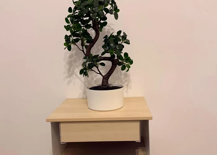 Apartament Hils Pallady 9 Bukareszt