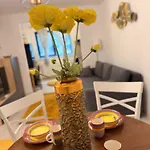 Hils Pallady 9 Appartement